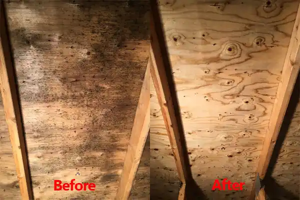 water damage restoration service West Hill